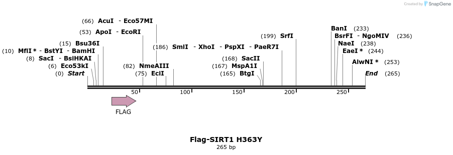 114678_map