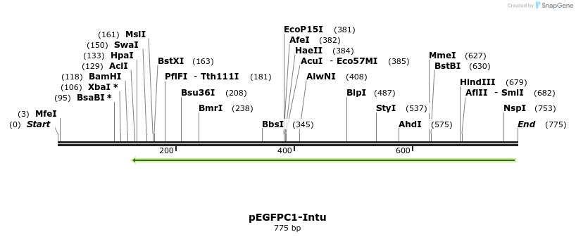 114699_map