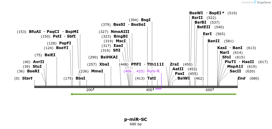 114702_map