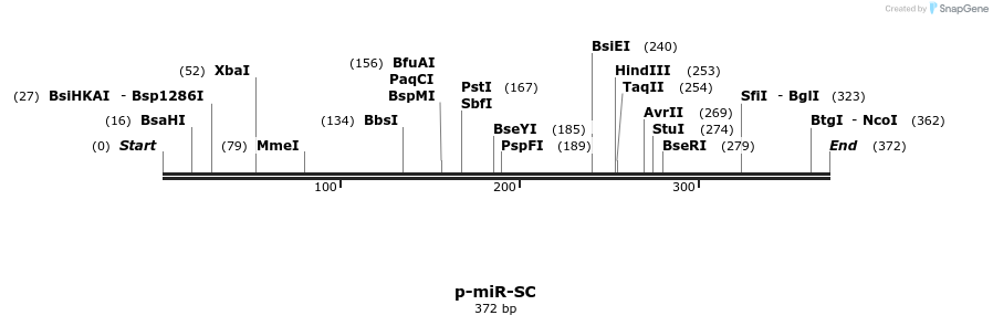 114706_map