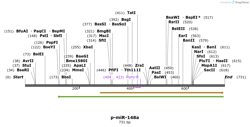 114709_map