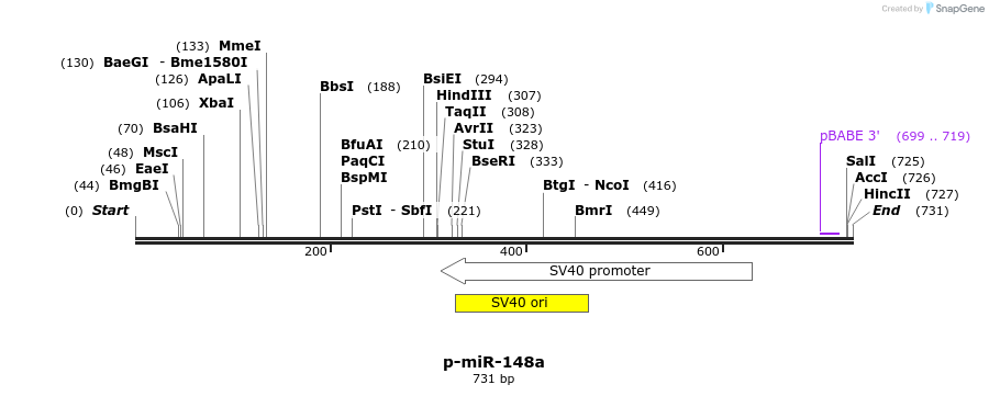 114712_map