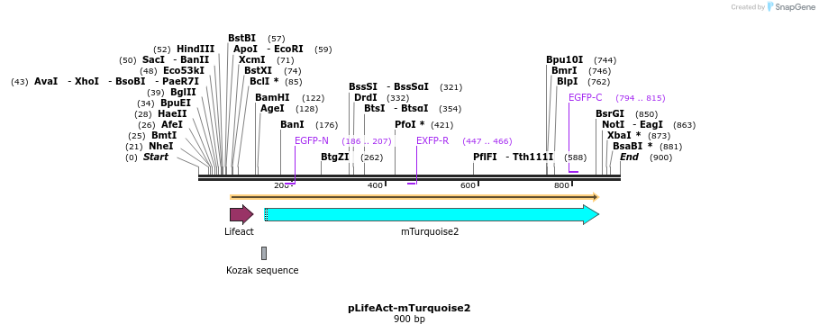 114715_map