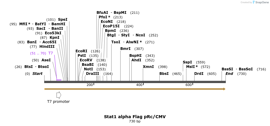 114717_map
