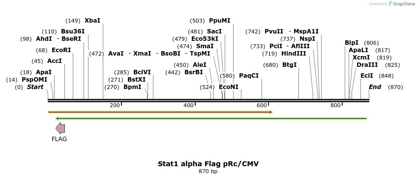114718_map
