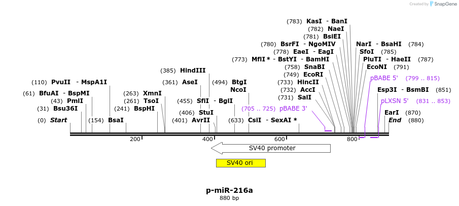114719_map