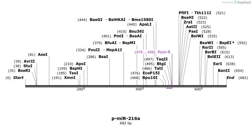 114721_map