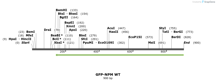 114723_map