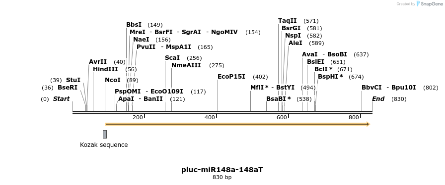 114731_map