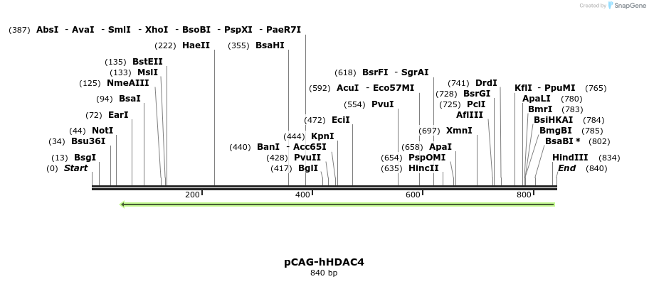 114736_map
