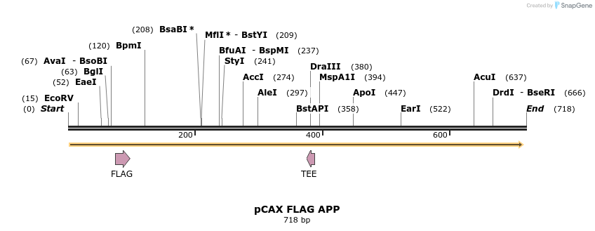 114739_map