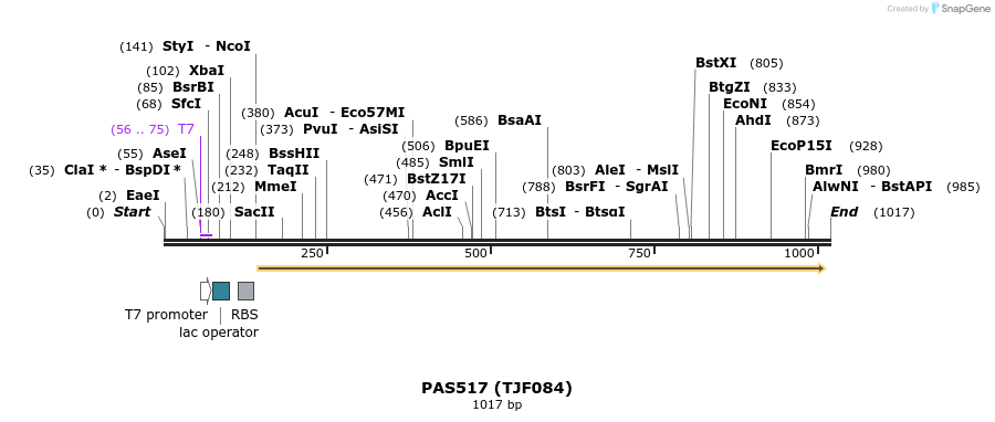114741_map