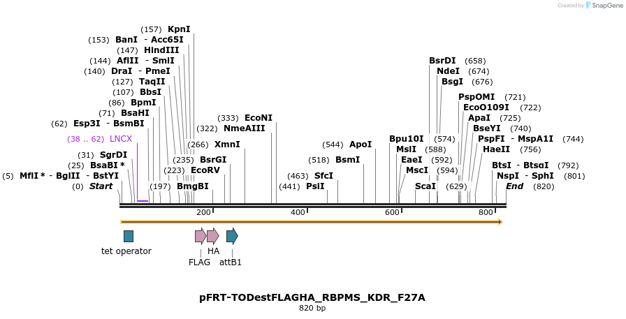 114745_map
