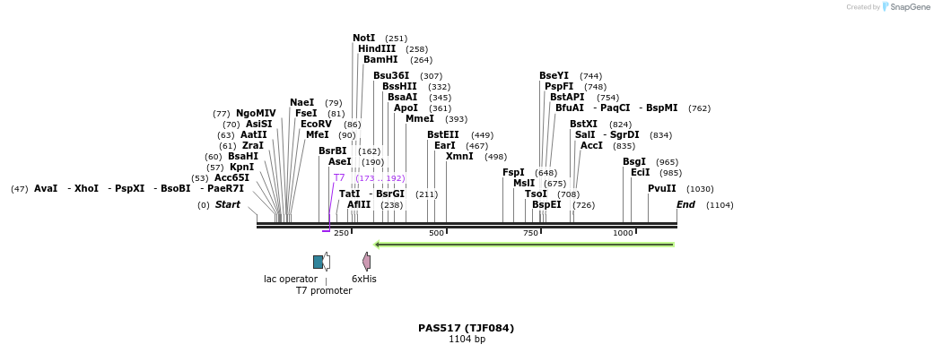 114751_map