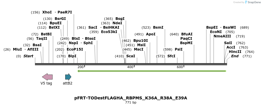 114753_map