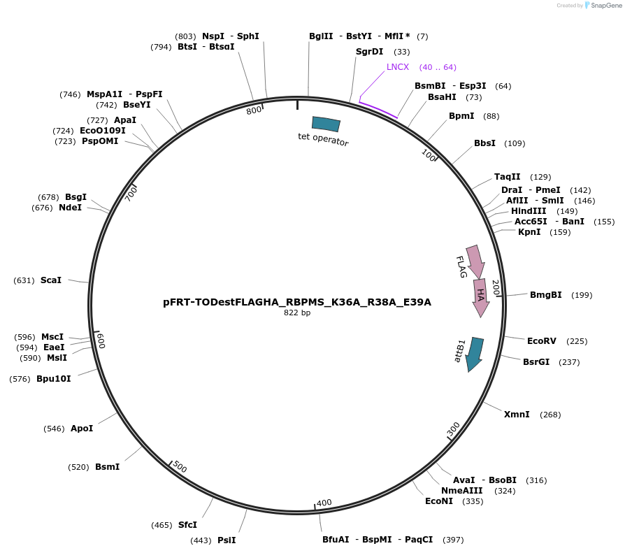 114755_map