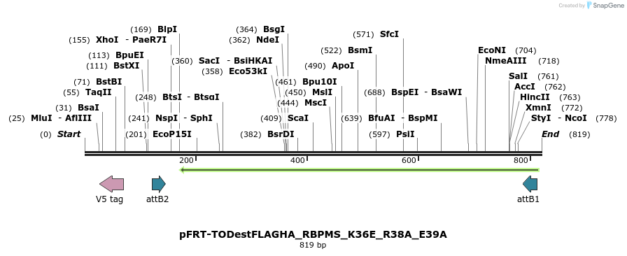 114764_map