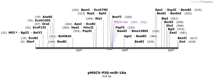 114768_map