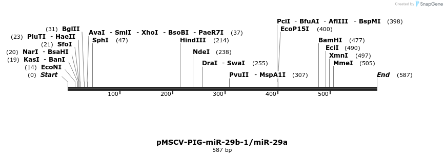 114773_map