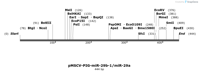 114775_map