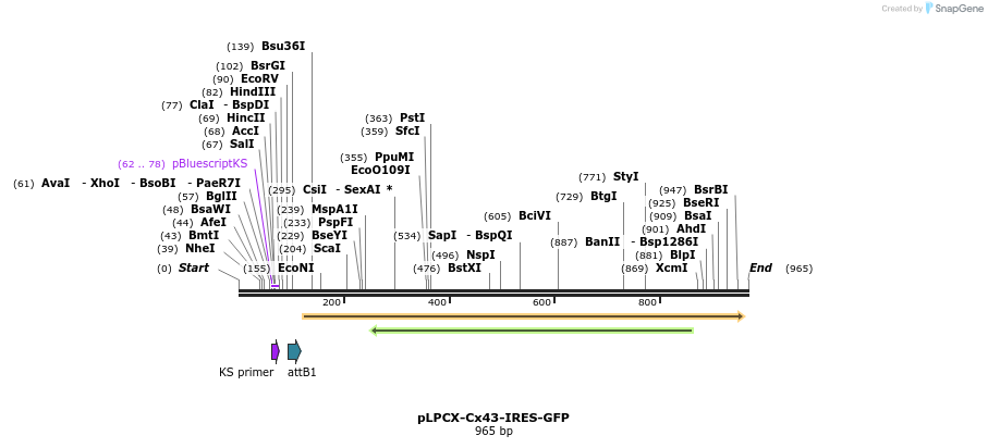 114784_map