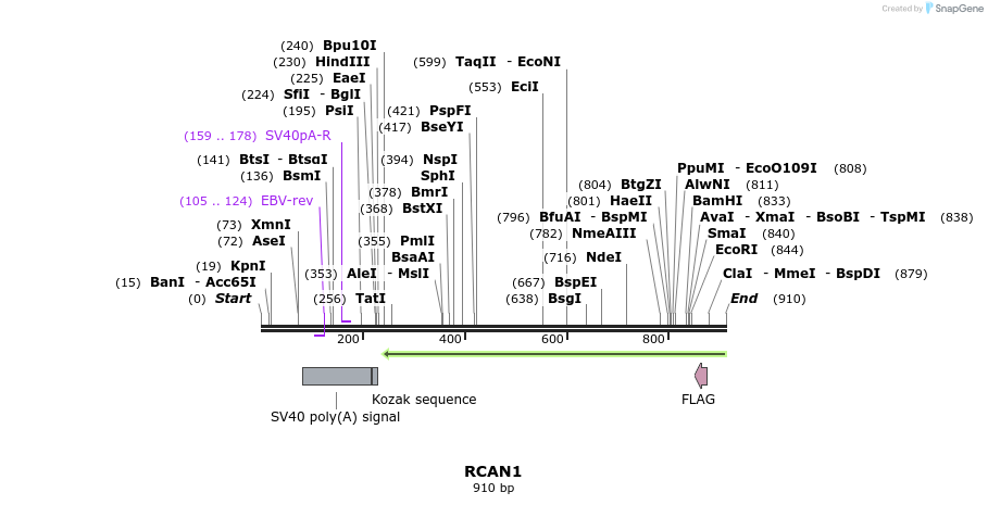 114789_map