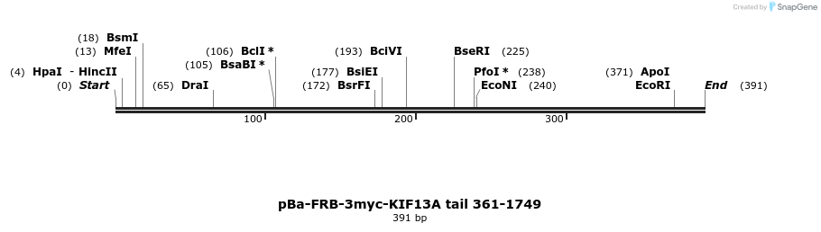 114798_map