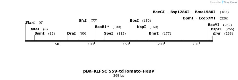114802_map