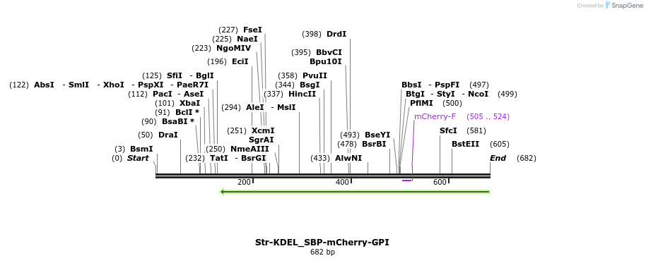 114803_map