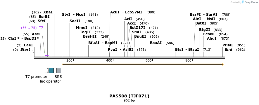 114808_map