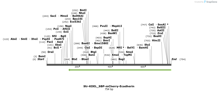 114811_map