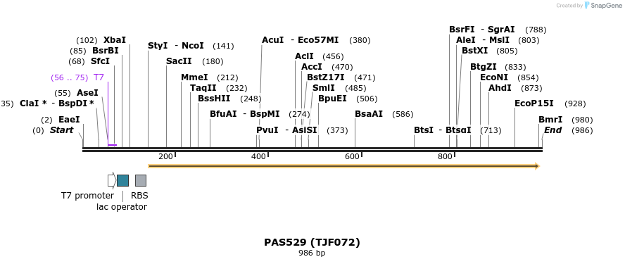 114817_map