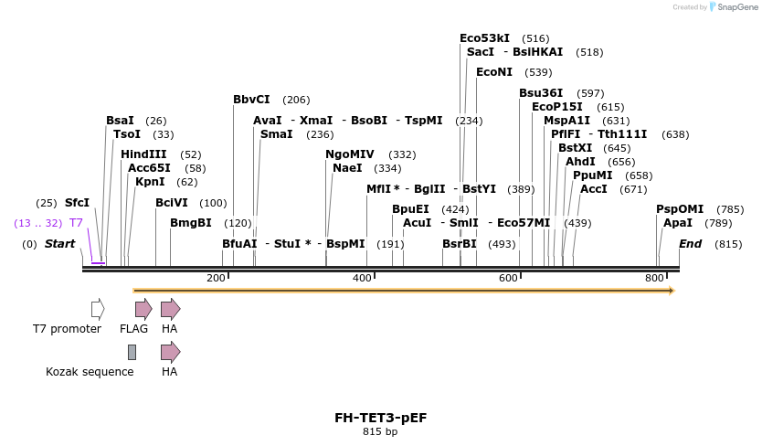 114824_map