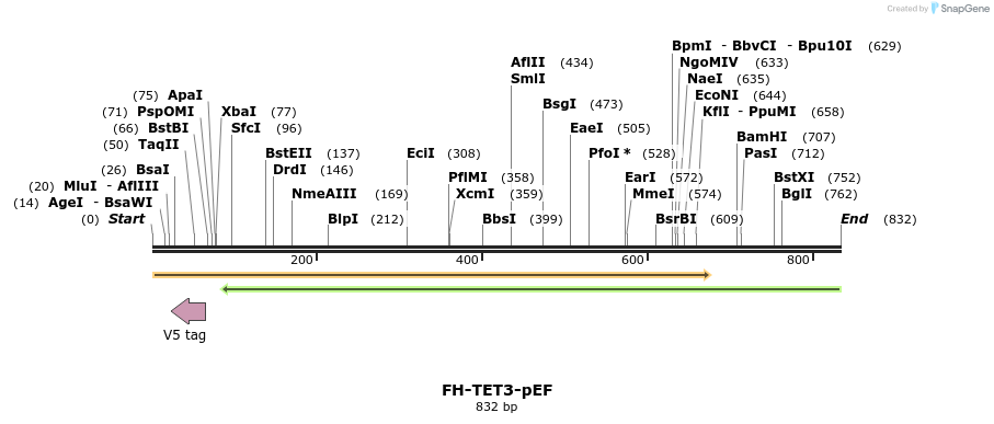 114826_map