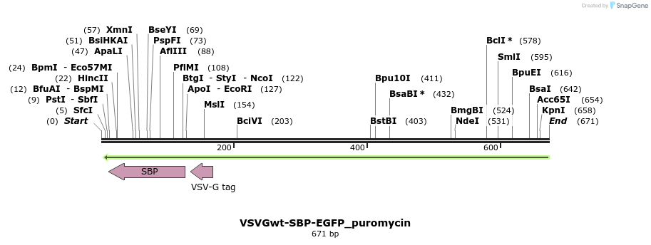 114847_map