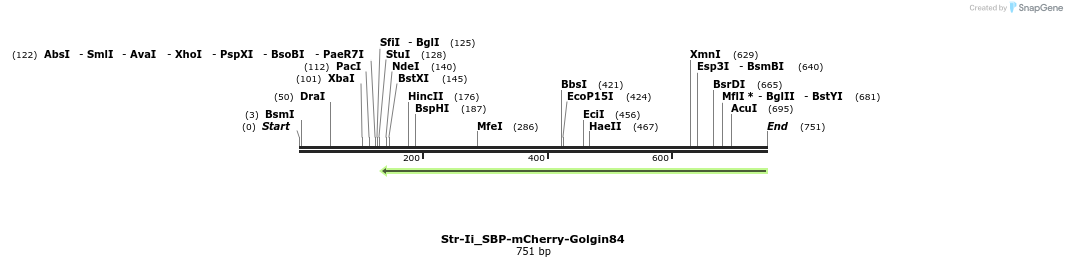 114851_map