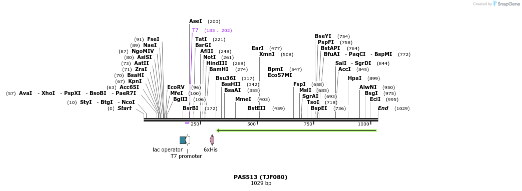 114861_map
