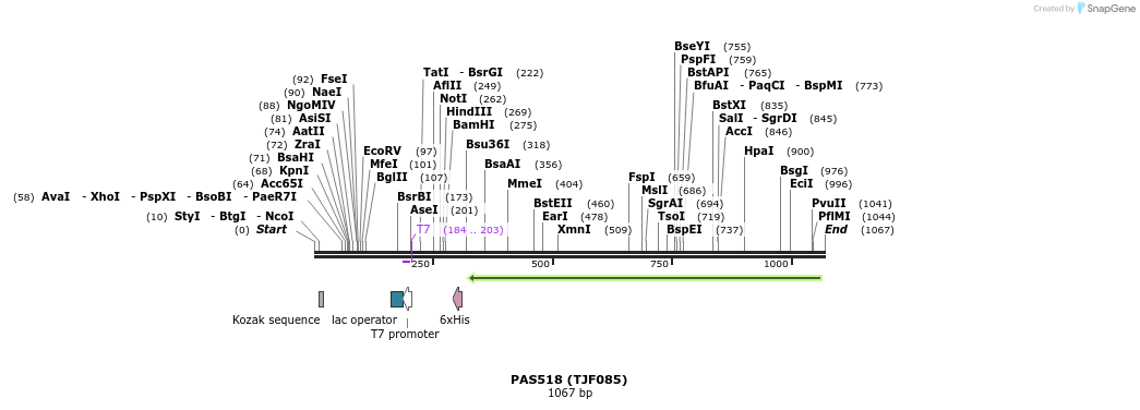 114868_map