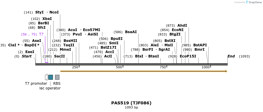 114874_map