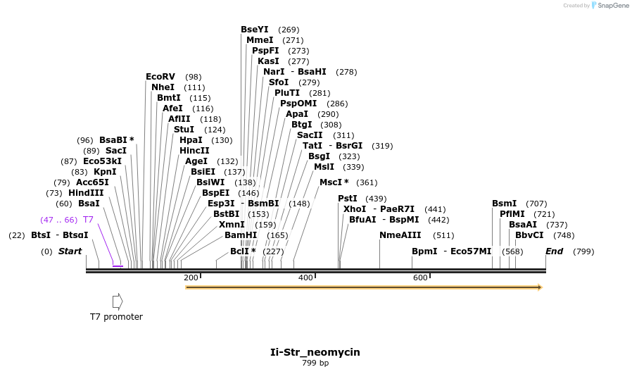 114905_map