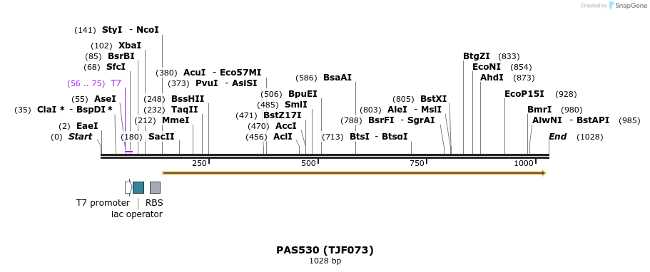114906_map