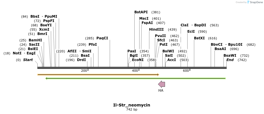 114907_map