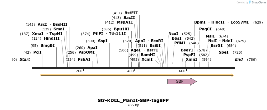 114910_map