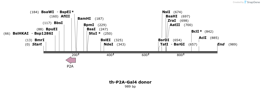 114916_map