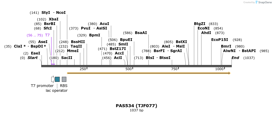 114917_map