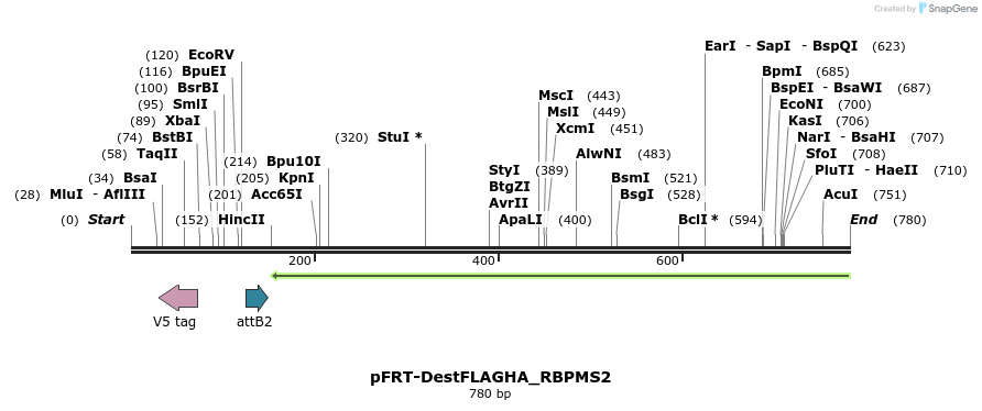 114931_map