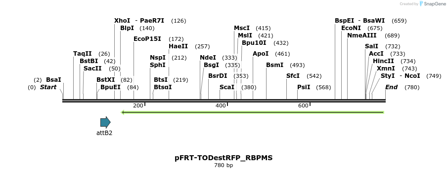 114935_map