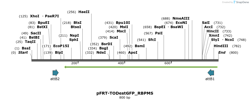 114938_map