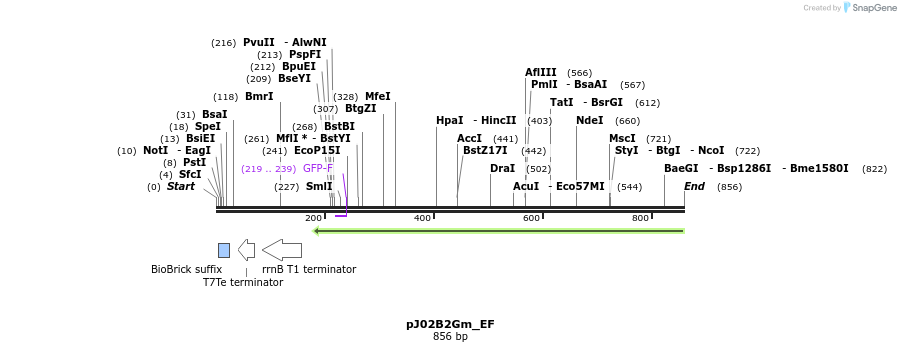 114939_map