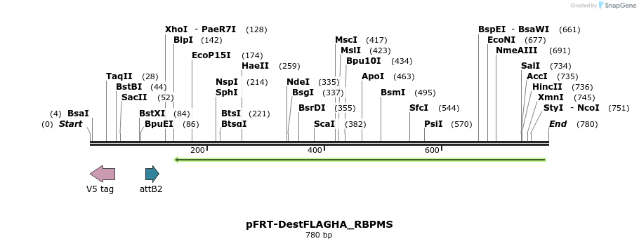 114946_map